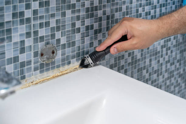Best Health and Safety Mold Remediation in Bing, OR
